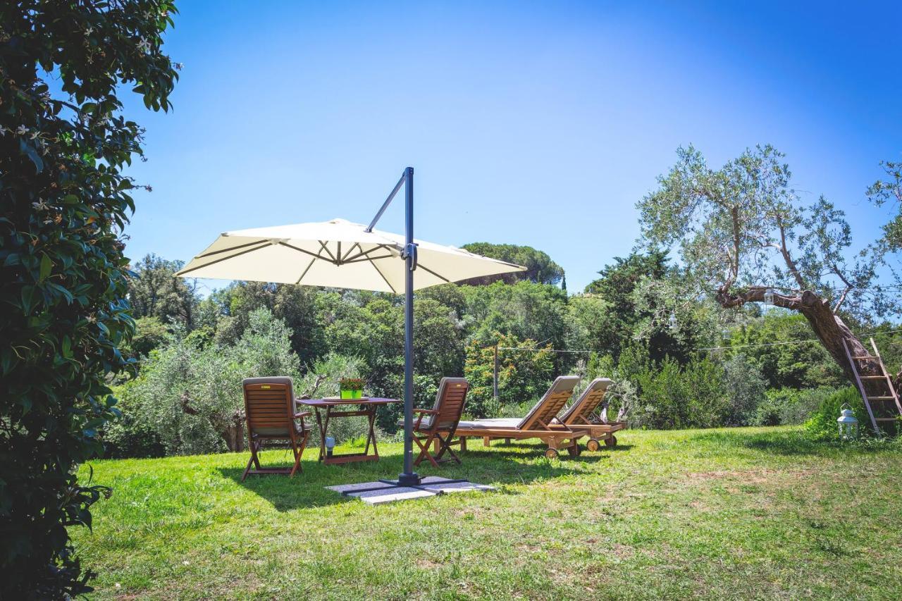 Gatto Rosso Bolgheri Exterior photo